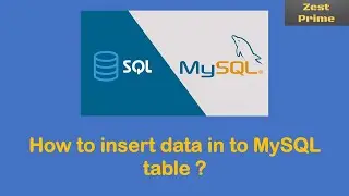 3.How to insert records in a table with MySQL using insert query| Zest Prime