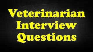 Veterinarian Interview Questions