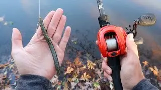 Catch MORE Bass This WINTER (Bass Fishing Tips)