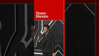 Shawn Mendes at 2024 VMAs Red Carpet