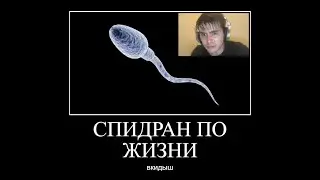 СПИДРАН ПО ЖИЗНИ ПОЕХАЛИ