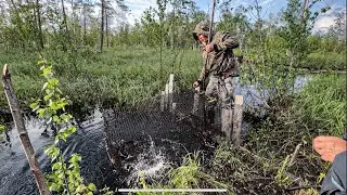 Добыча рыбы на мордушку, свежая щука на костре