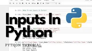 How To Use Inputs In Python 📲 - Python Beginner Tutorials