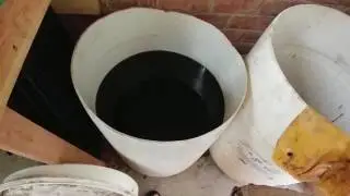 Soaking white oak cookies in drum of Pentacryl