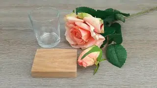Took Three Things to Create Incredible Beauty