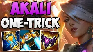 BEST AKALI ONE-TRICK IN THE WORLD CARRIES HIS TEAM! | CHALLENGER AKALI TOP GAMEPLAY | Patch 13.11