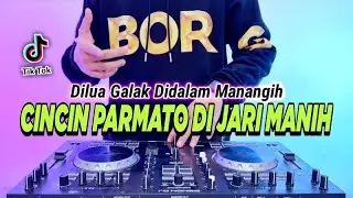 DJ CINCIN PARMATO DI JARI MANIH REMIX FULL BASS TIKTOK TERBARU 2023 | DILUA GALAK DIDALAM MANANGIH