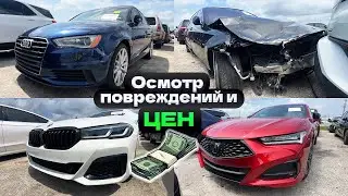 ЦЕНЫ 💲 на АВТО из США на страховом аукционе. Майами удивляет 😮