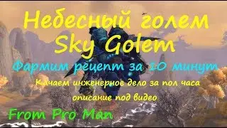 Небесный голем ( Схема: дневник главного инженера Цзарда )