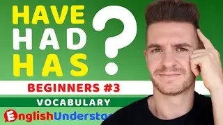 How To Use HAVE, HAS & HAD In English (Beginner Vocabulary/Grammar)