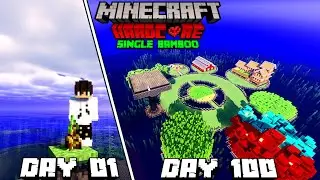 I Survived 100 Days On A Single Bamboo In Minecraft Hardcore (Hindi) #minecraft #minecraft100days