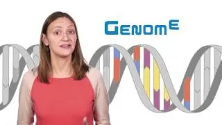 What is the difference between genetics and genomics?