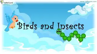 Birds, Insects ,Learn about Birds for Kids l Types of Birds l Types of insects  Class 2  #vaflecone