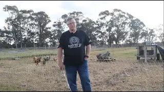 He's dangerous & has to go | Aussie Homesteading