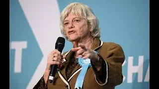 Met probes electoral fraud claims after Tories 'induced Brexit Party candidates to stand down'