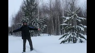 ЗАГОРОДНЯЯ ПРОГУЛКА : ЗИМНИЙ ЛЕС, КАЛИНА И ... ТИШИНА