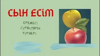 Сын есім. Сын есім дегеніміз не? Ережесі. Сұрақтары. Түрлері.