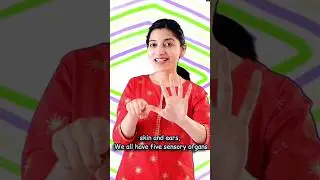 Five Senses Song 👀👃👅🖐👂| Sensory Organs | 