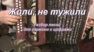 Жили, не тужили (гармонь)