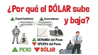 Why does the DOLLAR go UP and DOWN? - Explained for beginners!
