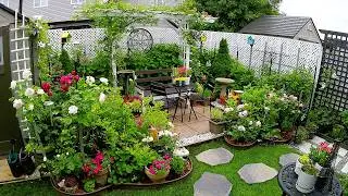 START OF SUMMER COME SEE  OUR TINY GARDEN | Plants and Flowers #garden #plants #flowers #new #rose