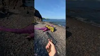 Нашел древние волосатые яйца