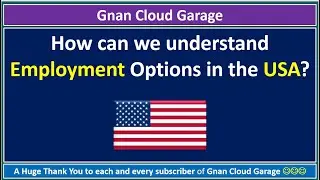 How can we understand Employment Options in the USA?