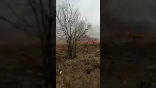 Амурские пожарные борются с палом на окраине села Михайловка