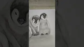 Cute peguin drawing #art #drawing #shorts #peguin