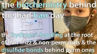 The biochemistry behind hair frizz & curls: hydrogen bonds, disulfide bonds, & intermolecular forces