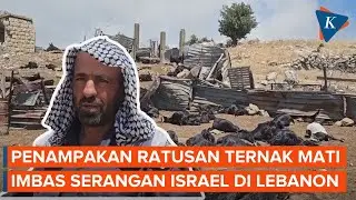 Serangan Udara Israel di Lebanon Selatan Tak Hanya Korbankan Manusia