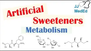 Absorption and Metabolism of Sugar Substitutes (Artificial Sweeteners) | Aspartame, Sucralose, Etc.