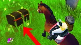 I Found a Treasure Chest ! Star Stable Online Horse Quest Video Game
