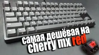 САМАЯ ДЕШЁВАЯ МЕХАНИКА НА CHERRY MX RED | Честный обзор механической клавиатуры Ikbc C87