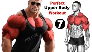 7 Perfect Upper Body Workout For Muscle Building