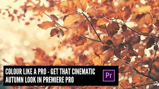 Premiere Pro Effects: Get That CINEMATIC Look in Premiere Pro