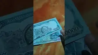 Afghanistan Currency || Afghan afghani #shorts #afghanistan #afghani #banknotes #currency