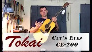 Tokai Cat's Eyes CE-200 , обзор гитары