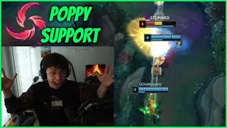 Mikyx's Hail Of Blades Poppy Support Is Completely Cracked