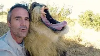 Animals Unique Bond | The Lion Whisperer