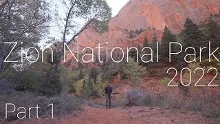 Photographing Fall In Utah | Zion National Park 2022 In Fall | 4k
