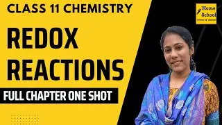 Redox Reactions In Full Shot | Class 11 Chemistry