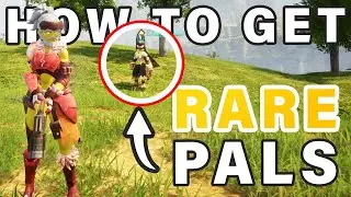 How to get New RARE High Level Pals Easily ► Palworld