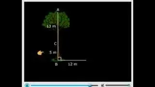 Pythagoras Theorem - Class 7 Mathematics - The Triangle and its Properties (Meritnation.com)