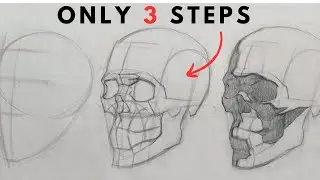 Master Skull Drawing with Measurement, Construction and Tone