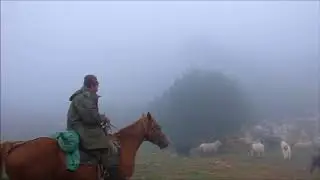 Shepherd in mountains of Digoria