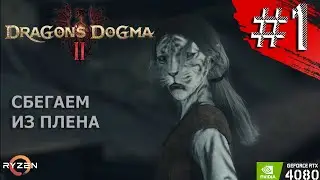 DRAGON'S DOGMA 2 Прохождение №1 - Драгонс Догма 2