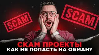 Скам | Распространенный способ обмана в крипте «накачка и сброс»