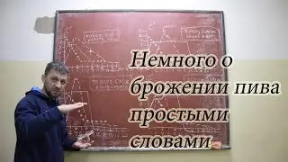 Немного о правильном брожении пива простыми словами.