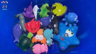 Learn Sea Animals  Sea Creatures Name in English Korean 바다동물, 바다생물 영어 이름 배우기